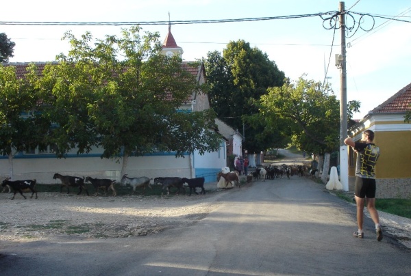 417557_3979991132993_1521499718_n