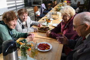 2024-10-20-Husovice-Dsc_9494